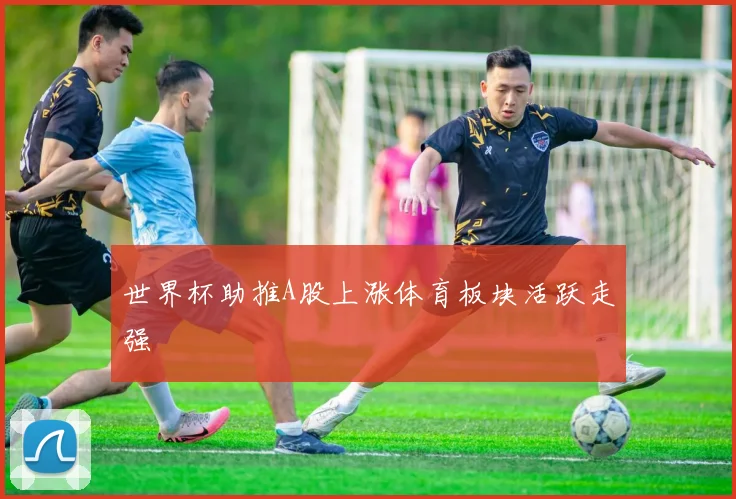 世界杯助推A股上涨体育板块活跃走强